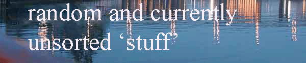 text random and currently unsorted 'stuff' text over erie basin marina reflection at night