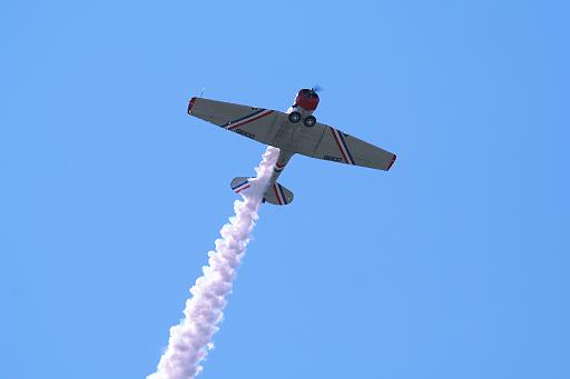 IMG_6517