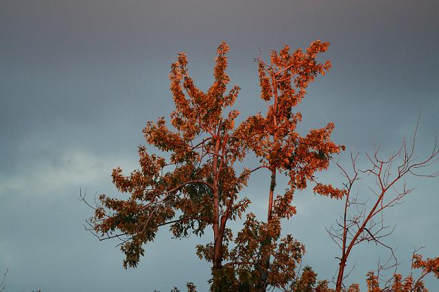 IMG_3494