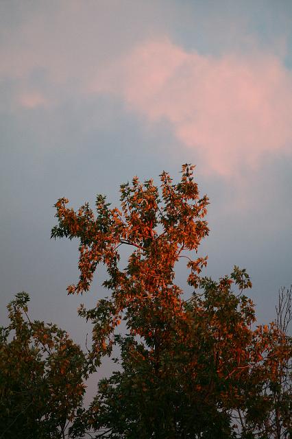 IMG_3498